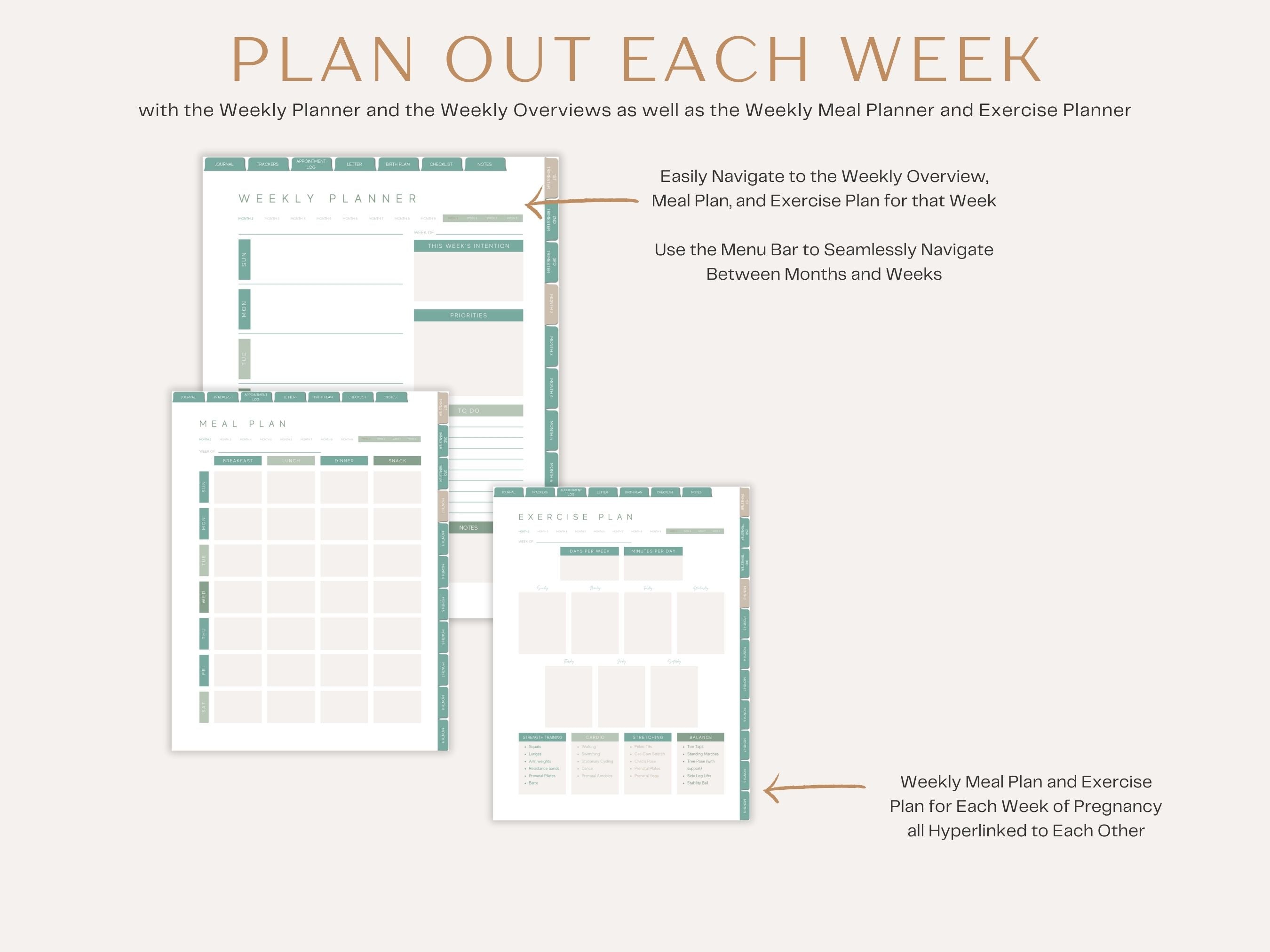 The Ultimate Digital Pregnancy Planner & Journal + BONUS